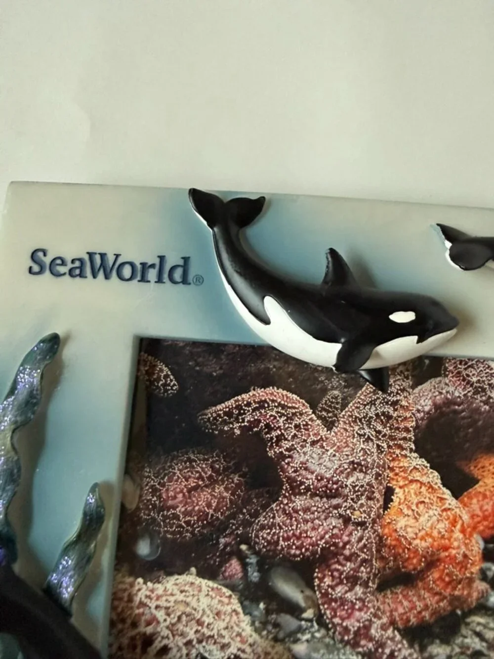 SeaWorld Orca Frame 4x6 Picture Killer Whale Shamu Souvenir Travel Gift